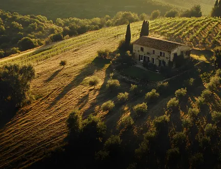 Type de bien: Domaine - Propriété